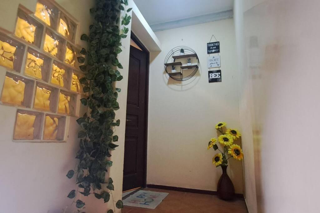 Mendes Family Homestay - B&B In The Heart Of Прая Екстериор снимка