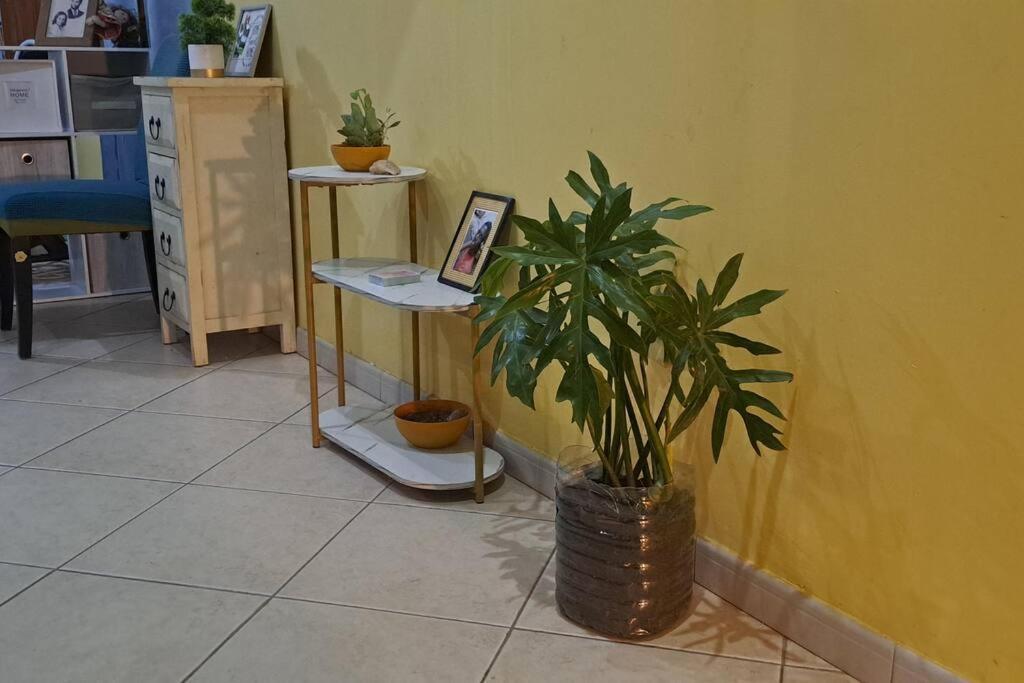Mendes Family Homestay - B&B In The Heart Of Прая Екстериор снимка