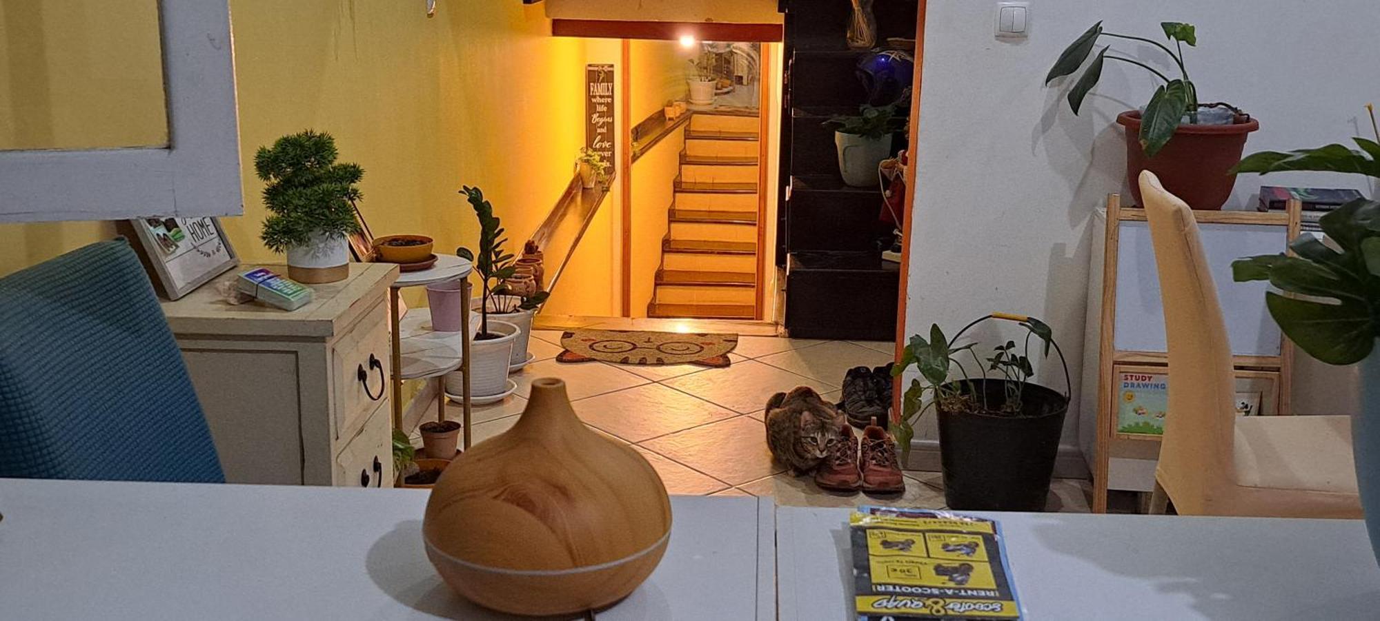 Mendes Family Homestay - B&B In The Heart Of Прая Екстериор снимка